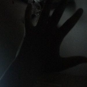 Meet your Posher, Jeffery